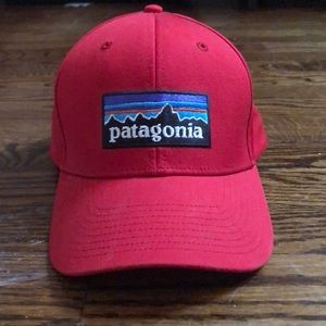Patagonia P-6 Hat